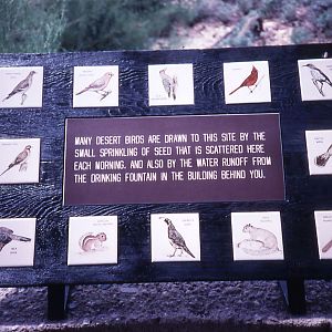 Bird Labels - 1988