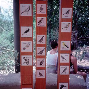 Labels in the Walkthrough Aviary