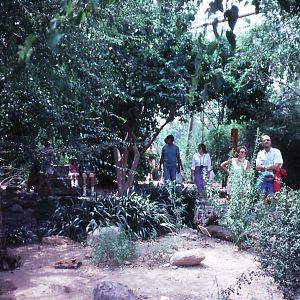 Interior of Walkthrough Aviary