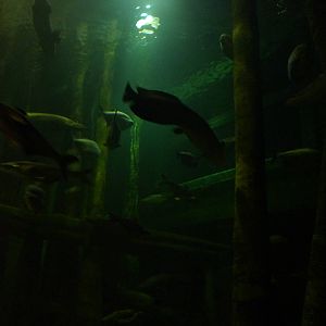 El Rio Del Mundo, 10th April 2012