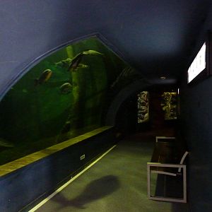 El Rio Del Mundo, 10th April 2012