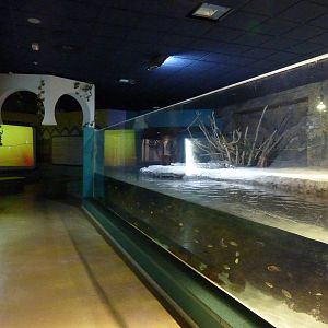 Nile area, 10th April 2012