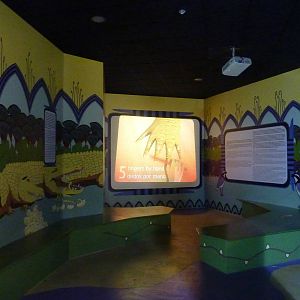 Cinematic education, 10th April 2012