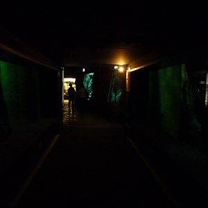 Corridor through El Rio Del Mundo tank, 10th April 2012