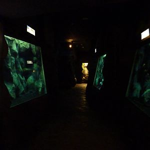 Mekong river area, 10th April 2012