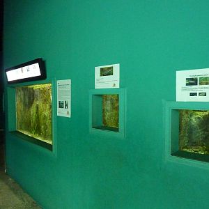 Small fish tanks, 10th April 2012