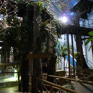 Amazon area, 10th April 2012