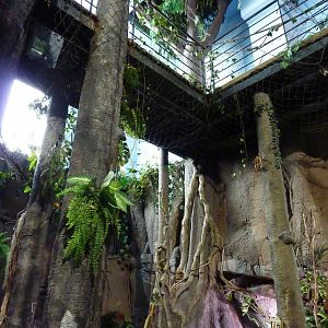 Amazon area, 10th April 2012