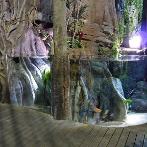 Amazon tanks, 10th April 2012