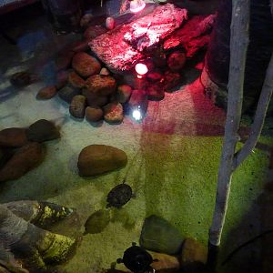 Terrapin pool, 10th April 2012