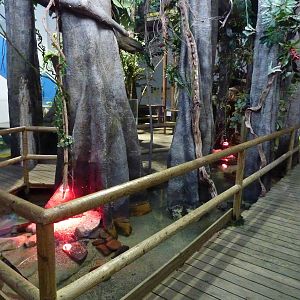 Terrapin pool, 10th April 2012