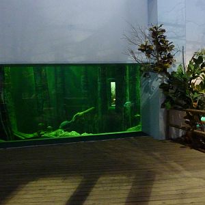 Viewing window, 10th April 2012