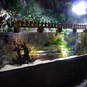 Freshwater tank, 10th April 2012