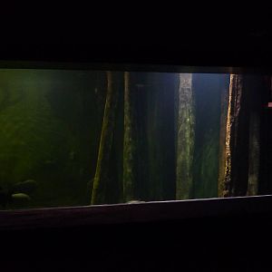 Viewing window for 'global river' exhibit, 10th April 2012