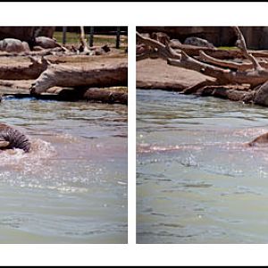 going, going, gone...