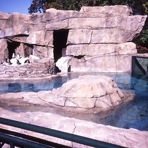 Penguin enclosure - 1987