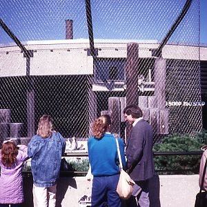 Souvenir shop surrounded by a lemur cage