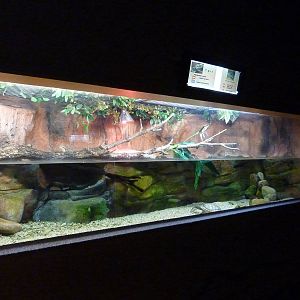 Water dragon and snake-necked turtle enclosure, 10th April 2012