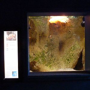 Once again, Nemo ruins everything. 10th April 2012