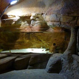 Ebro carp tank, 10th April 2012
