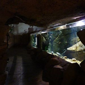 Ebro freshwater tank, 10th April 2012