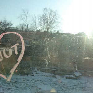 Berlin Zoo Polar Bear Exhibit