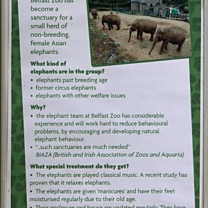 Belfast Zoo - Elephant Sanctuary sign