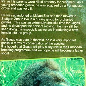 Belfast Zoo - Story of Gugas