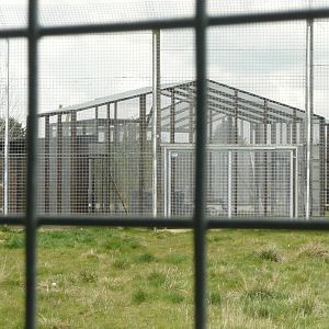 New off-show enclosures behind Tiger enclosure