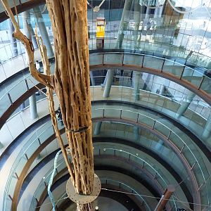 Spiral ramp with 'acariquara', 7th April 2012.