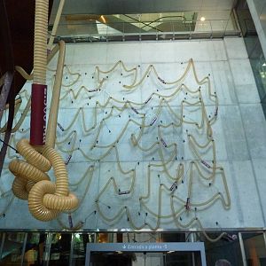 Time tube, 7th April 2012.