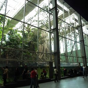 Bosc inundat, 7th April 2012.