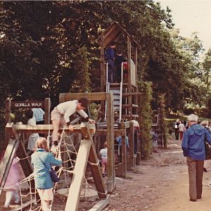 Play equipment next to the Gorillas - 1982