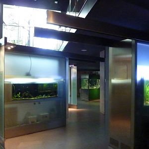 Aquarium exhibits, 7th April 2012.