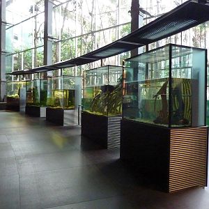 Aquarium tanks, 7th April 2012.