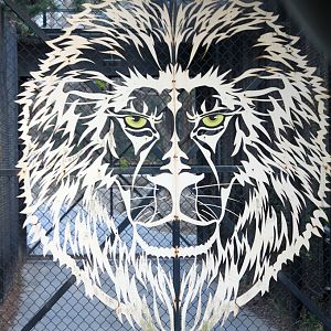 Safari world entrance