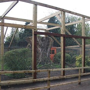 Sewerby Zoo, "Lemur Land" almost there 11th May 2012