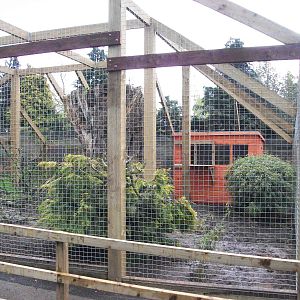 Sewerby Zoo, "Lemur Land" almost there 11th May 2012