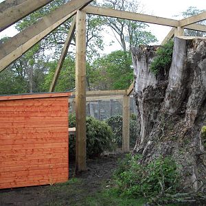 Sewerby Zoo, "Lemur Land" almost there 11th May 2012