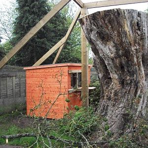 Sewerby Zoo, "Lemur Land" almost there 11th May 2012