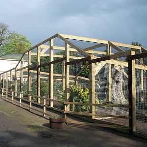 Sewerby Zoo, "Lemur Land" almost there 11th May 2012