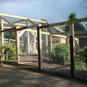 Sewerby Zoo, "Lemur Land" almost there 11th May 2012