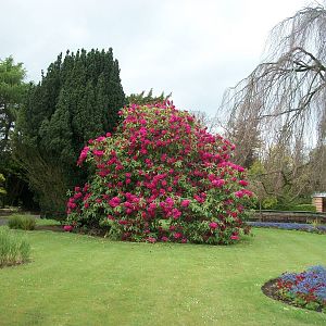 Sewerby Hall and Gardens, gardens near zoo