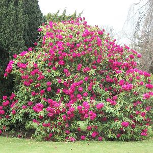 Sewerby Hall and Gardens, gardens near zoo