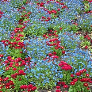 Sewerby Hall and Gardens, gardens near zoo