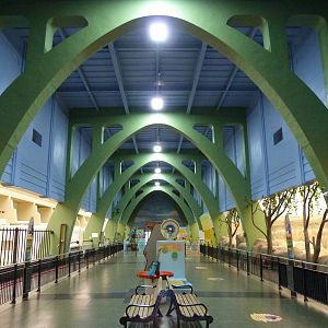 Pachyderm House - 5/3/12