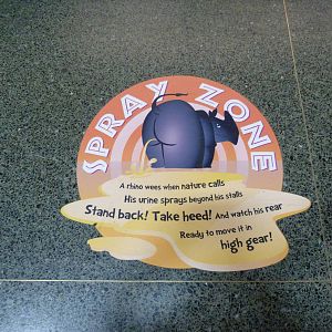 Pachyderm House -5/3/12