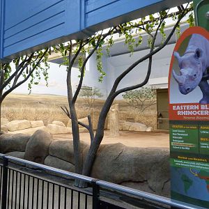 Pachyderm House (Rhino Bedroom) - 5/3/12