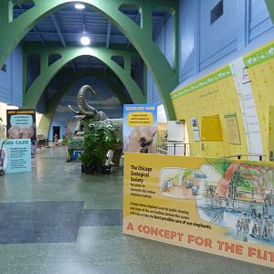 Pachyderm House (Elephant Section) - 5/3/12