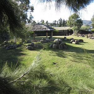 African ungulate exhibit